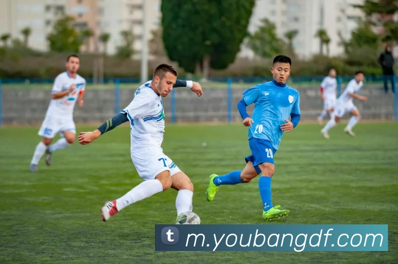 巅峰国际APP 高清赛事图